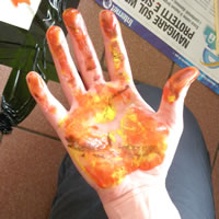 Scuola Counseling mano colorata
